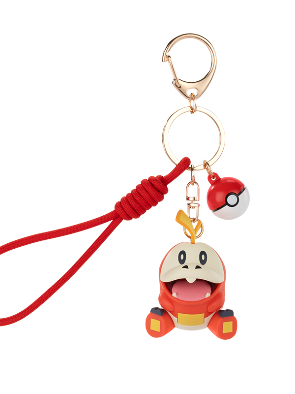 pokémon crocalor charm